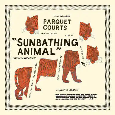 Parquet Courts Sunbathing Animal: 2025 Reissue Bargain