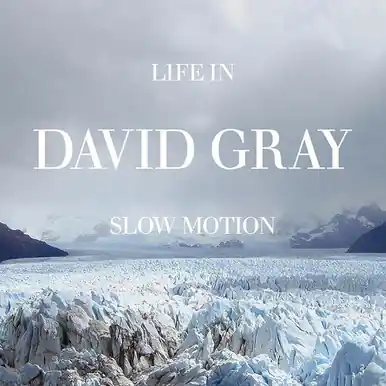 Last Chance David Gray Life in Slow Motion: 20th Anniversary Edition